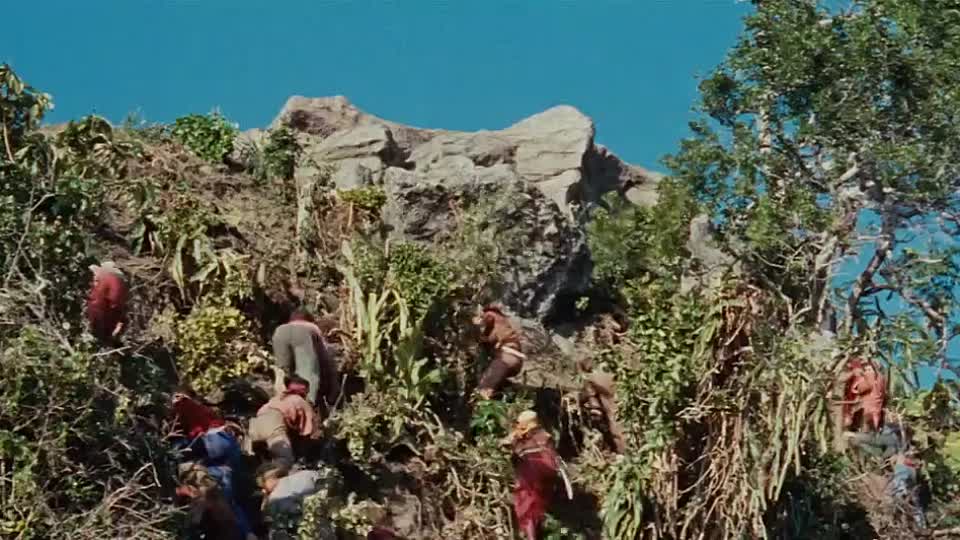 Swiss Family Robinson 1960