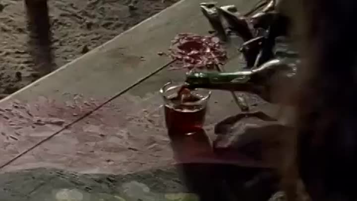 ⁣Violeta Se Fue A Los Cielos -2011