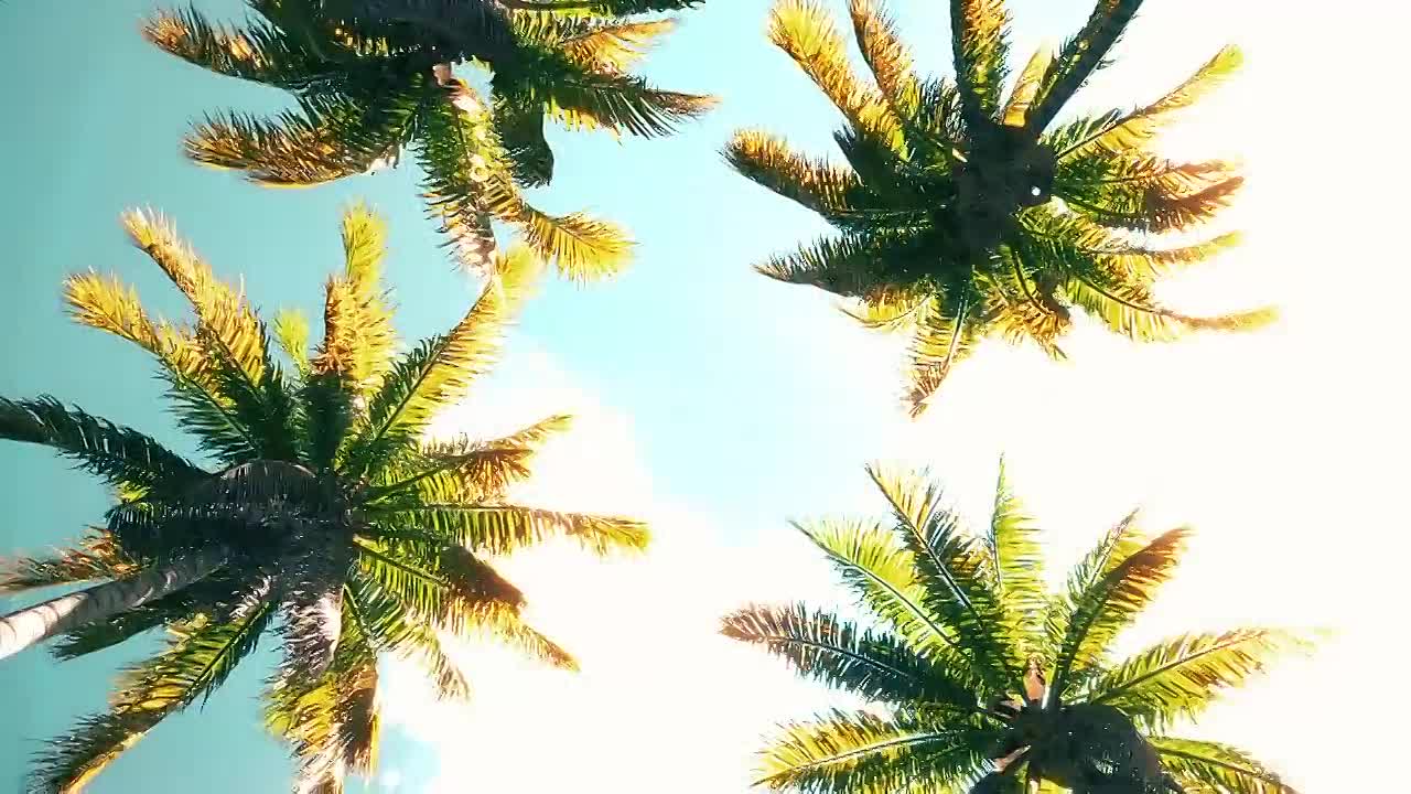 Beyond The Reset - Animated Short Film