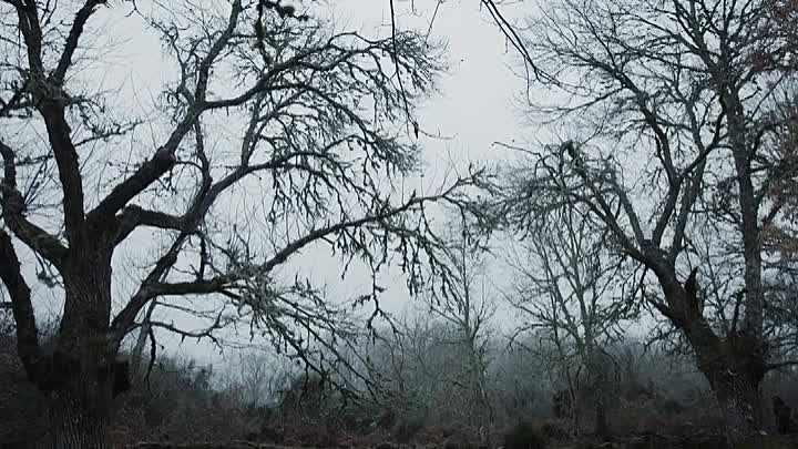 The Head Hunter 2019 BRRip XviD AC3-EVO