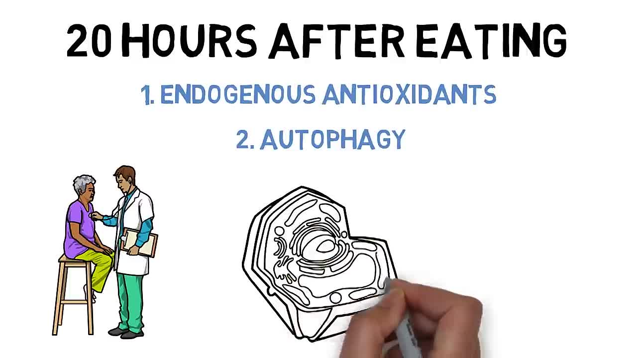 ⁣Fasting Benefits_ 12 hours, 24 hours, 48 hours Explained