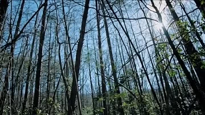 ⁣The Evil Inside Her 2019 HDRip XviD AC3-EVO