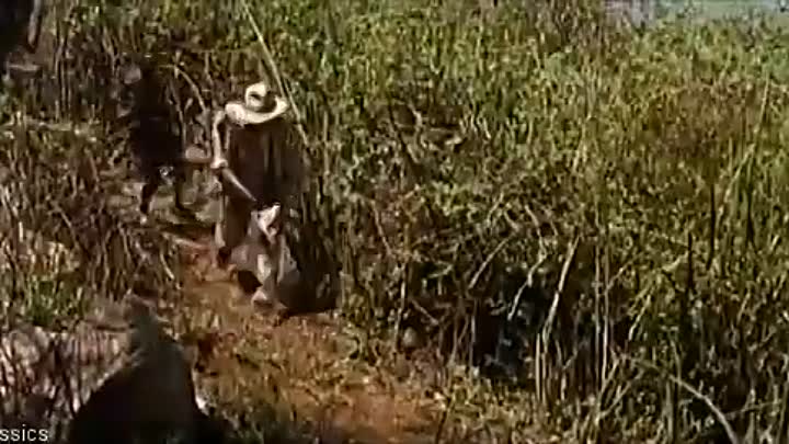 Killers of Kilimanjaro (1959) Robert Taylor - British adventure film