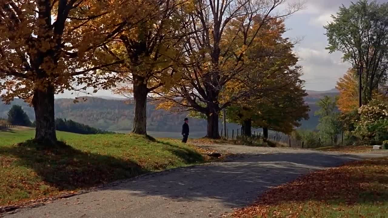 The Trouble with Harry -1955