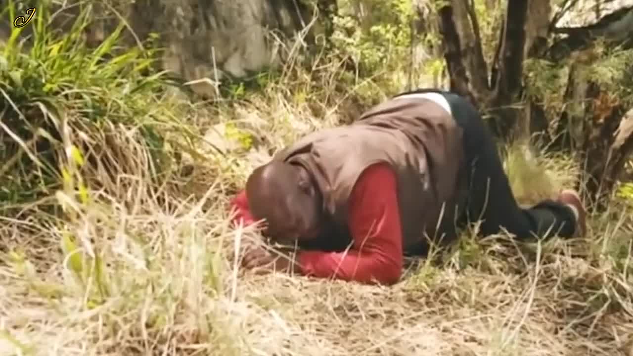 ⁣Yankee Zulu -1993