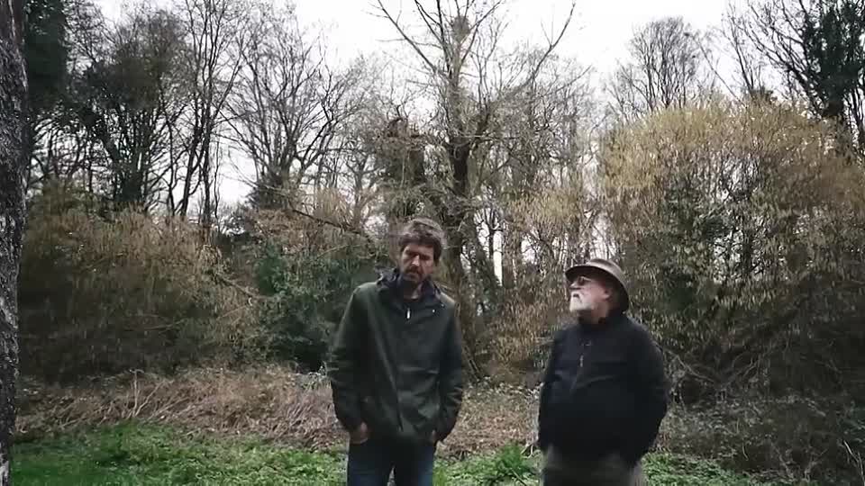 The Primordial Code -