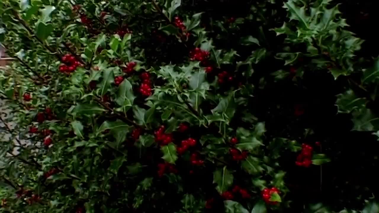 A Group Of Girls Is Left With No Supervision For 5 Days