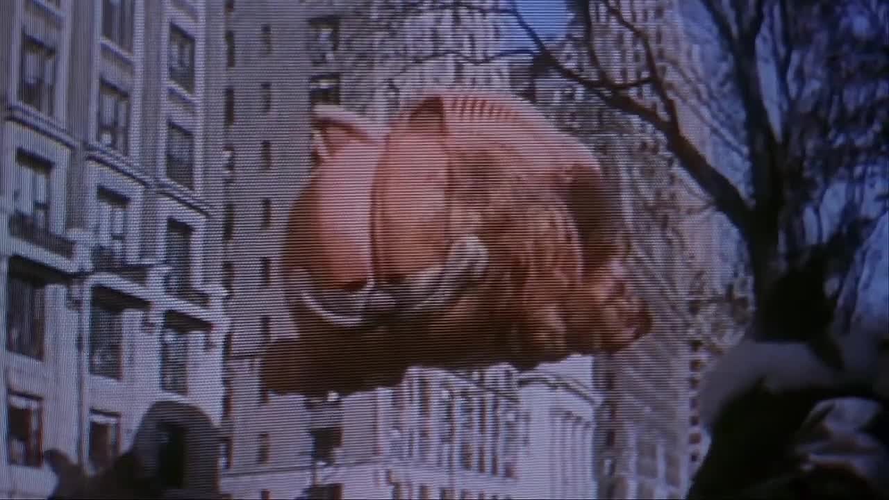 What's Cooking (2000)