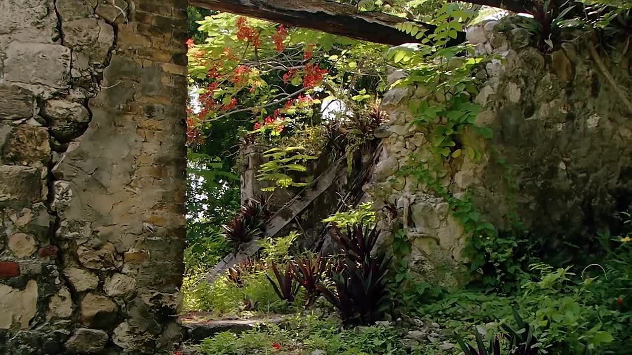 ⁣Jamaica's Cool Runners -Pushcarts and the Art of Living