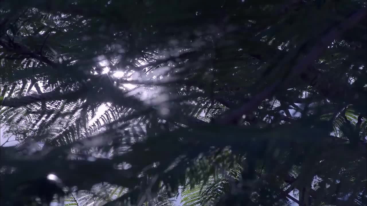 Secrets & Lies S01E05