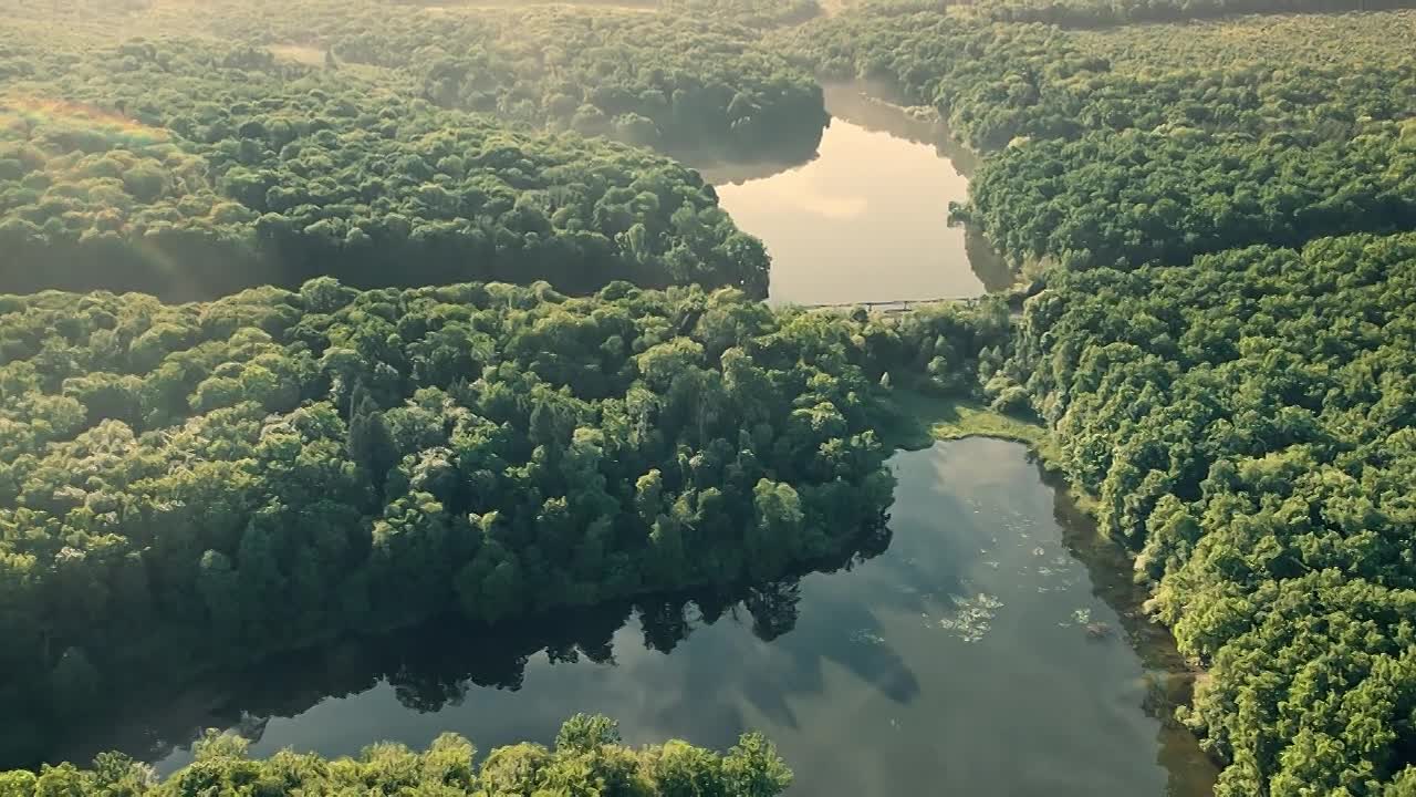 James II - The King Who Lost Three Kingdoms