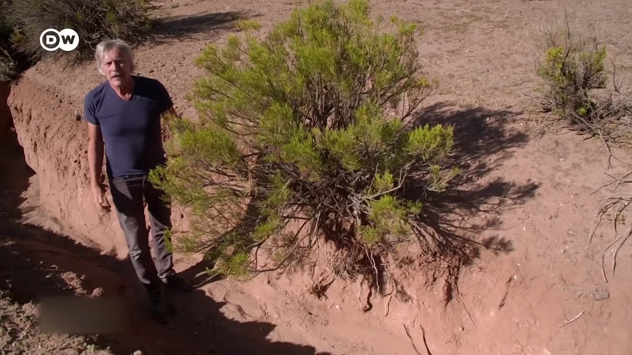 Superfoods – is healthy eating just hype?