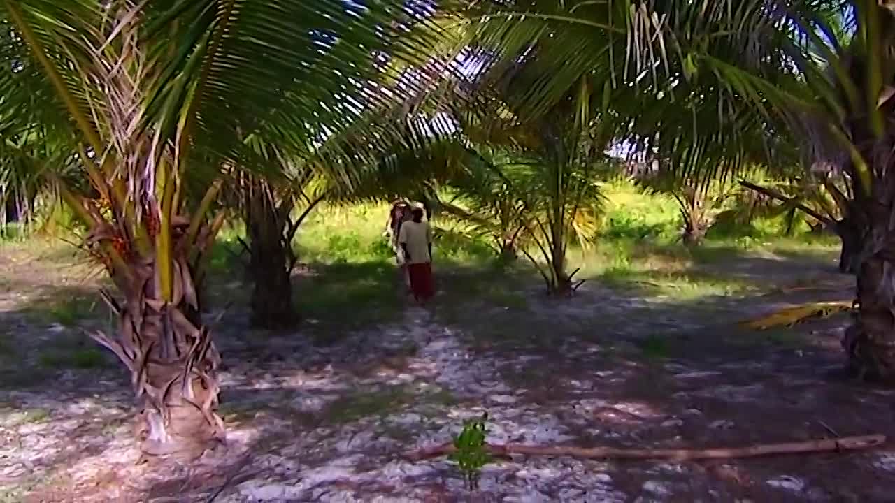 The Real Swiss Family Robinson -The Blanch Family