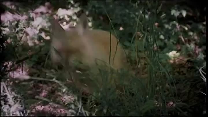 The Magician's House S01E06 (1999)