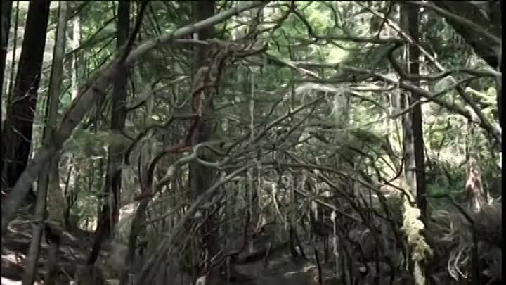 The Magician's House S01E03 (1999)