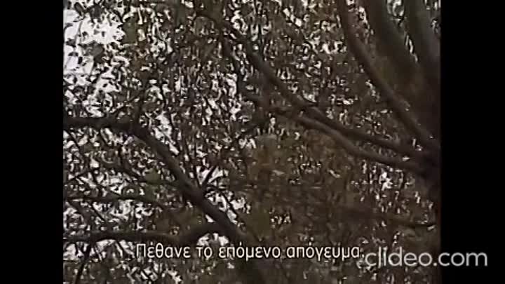 ⁣Edith Piaf Biography