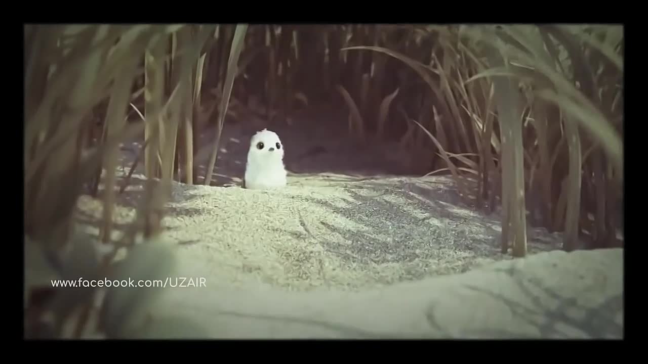 UZAIR Best Animated Short Films 2021