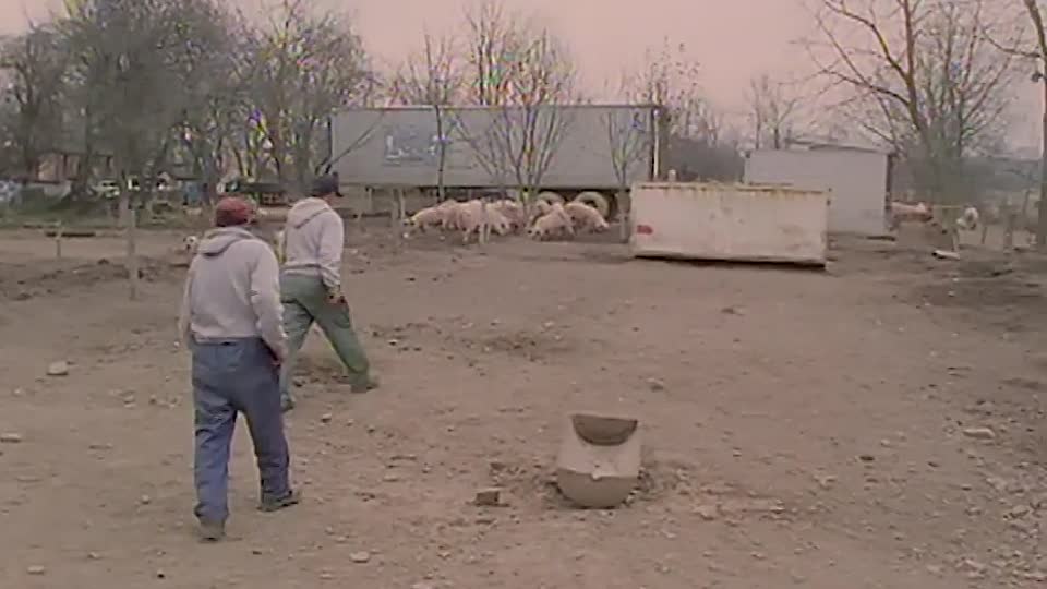 ⁣The Extraordinary Lives Of Identical Twins