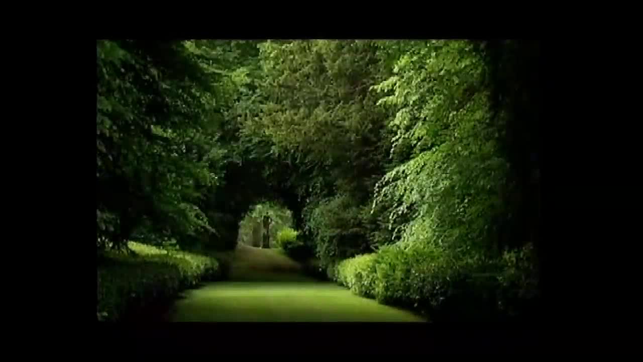 ⁣The Adventure of English E06 -Speaking Proper