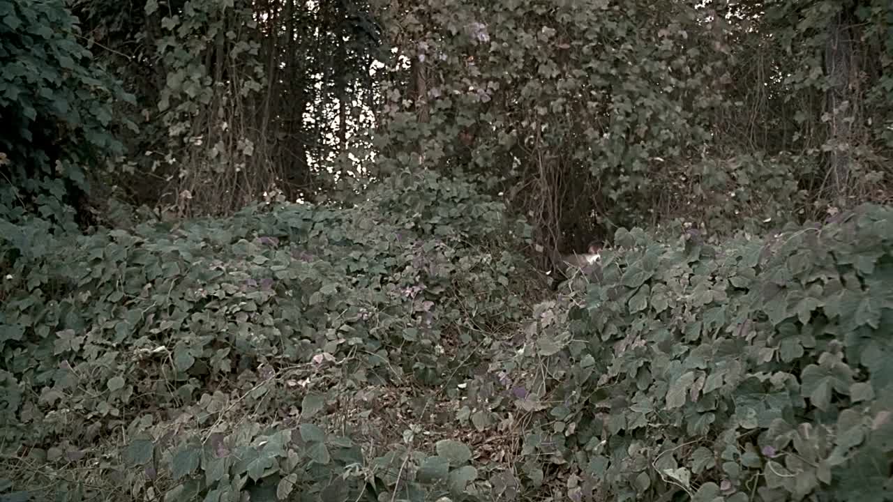 The Ultimate Gift 2006 1080p BluRay x264-[YTS AM]