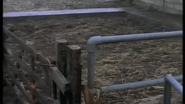 Twelve-Sleeper -E02 (2000)