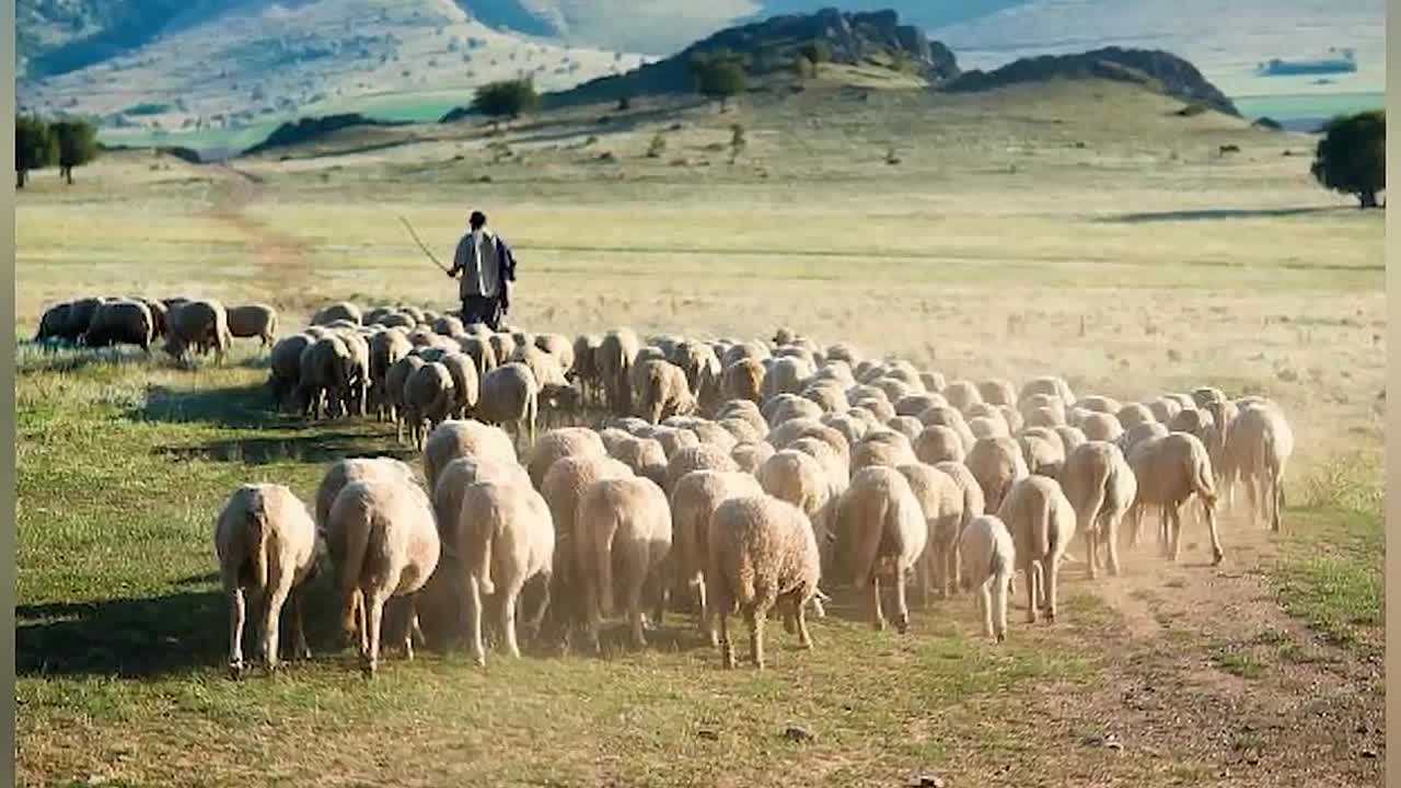 25 Truly SHOCKING Origins of Common Phrases