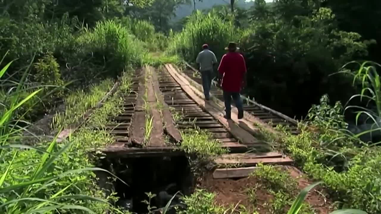 The Mist of Mwanenguba_ the Lost Worlds of Cameroon
