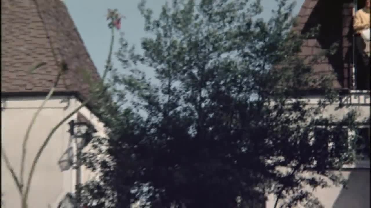 The Gay Deceivers -1969