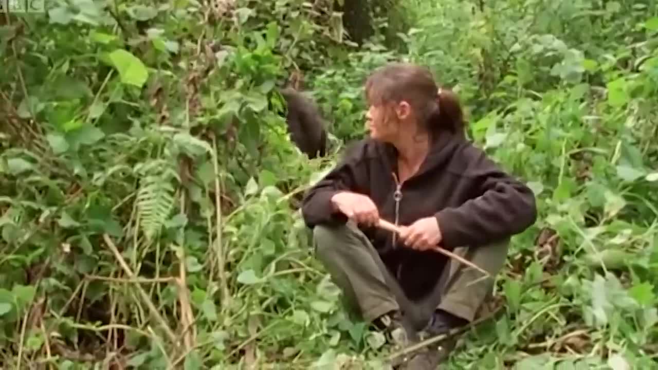 15 Abnormally Large Animals That Really Exist