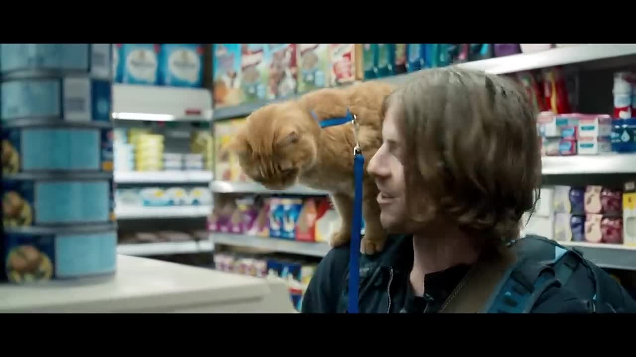 A Street Cat Named Bob (2017)