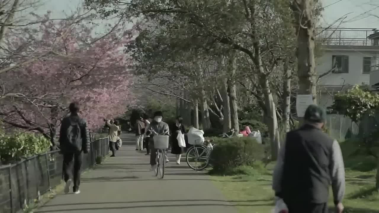 HIKIKOMORI a deafening silence - documentary