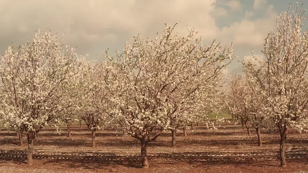 ⁣Josephine Bonaparte - Wife of Napoleon & Empress of the French