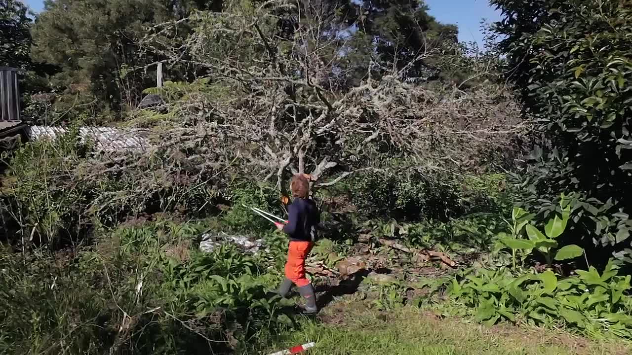 ⁣Living the Change -Inspiring Stories for a Sustainable Future