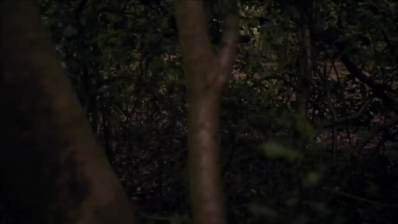 The School For The Most Troubled Kids In The UK