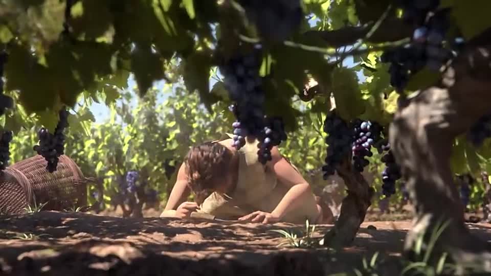 Gladius_ by ESMA _ CGMeetup