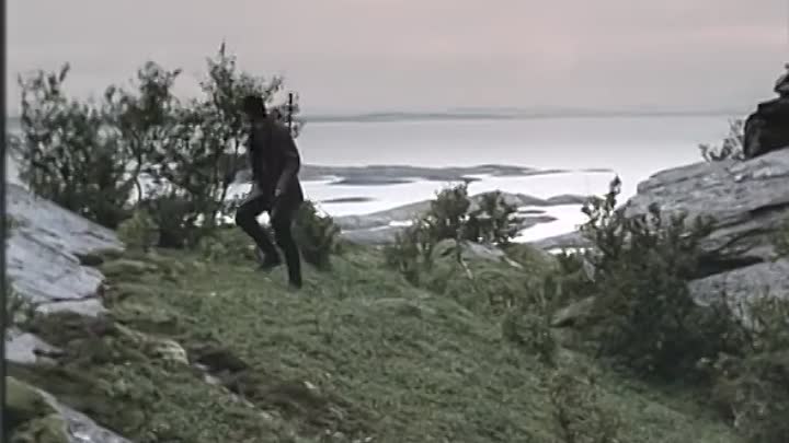 Pan - Two Green Feathers (1995)