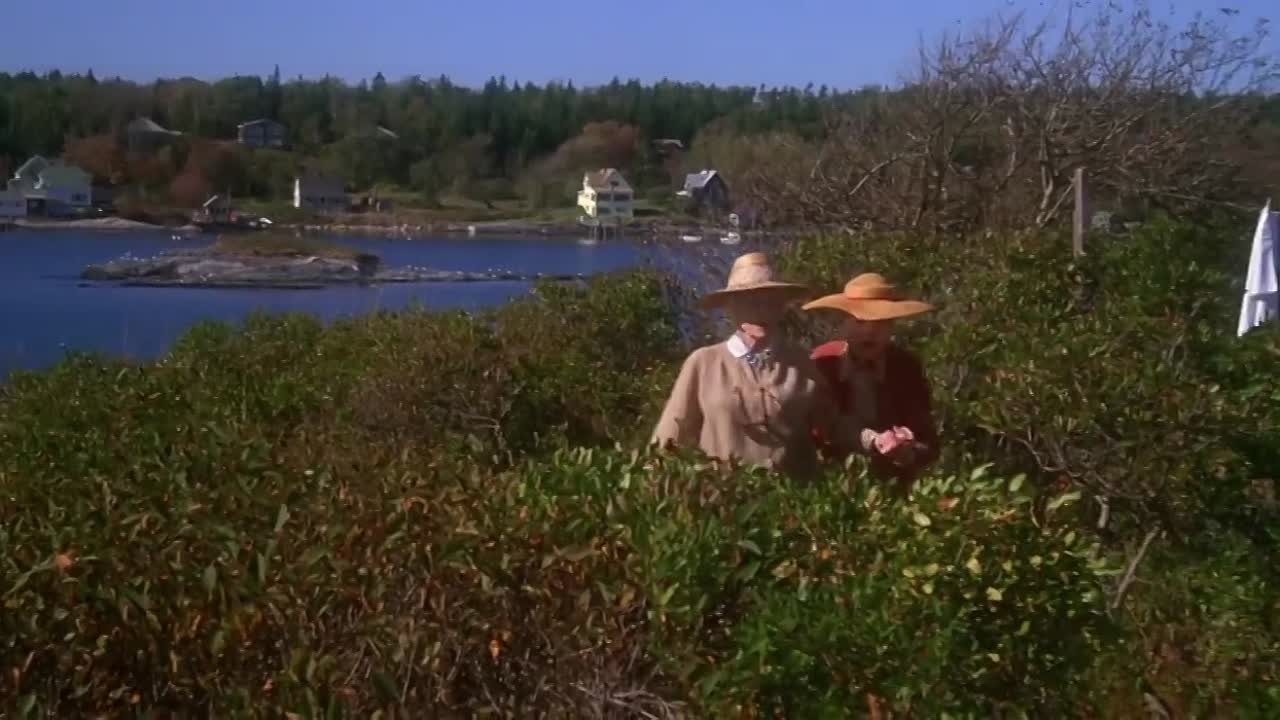 The Whales of August (1987)