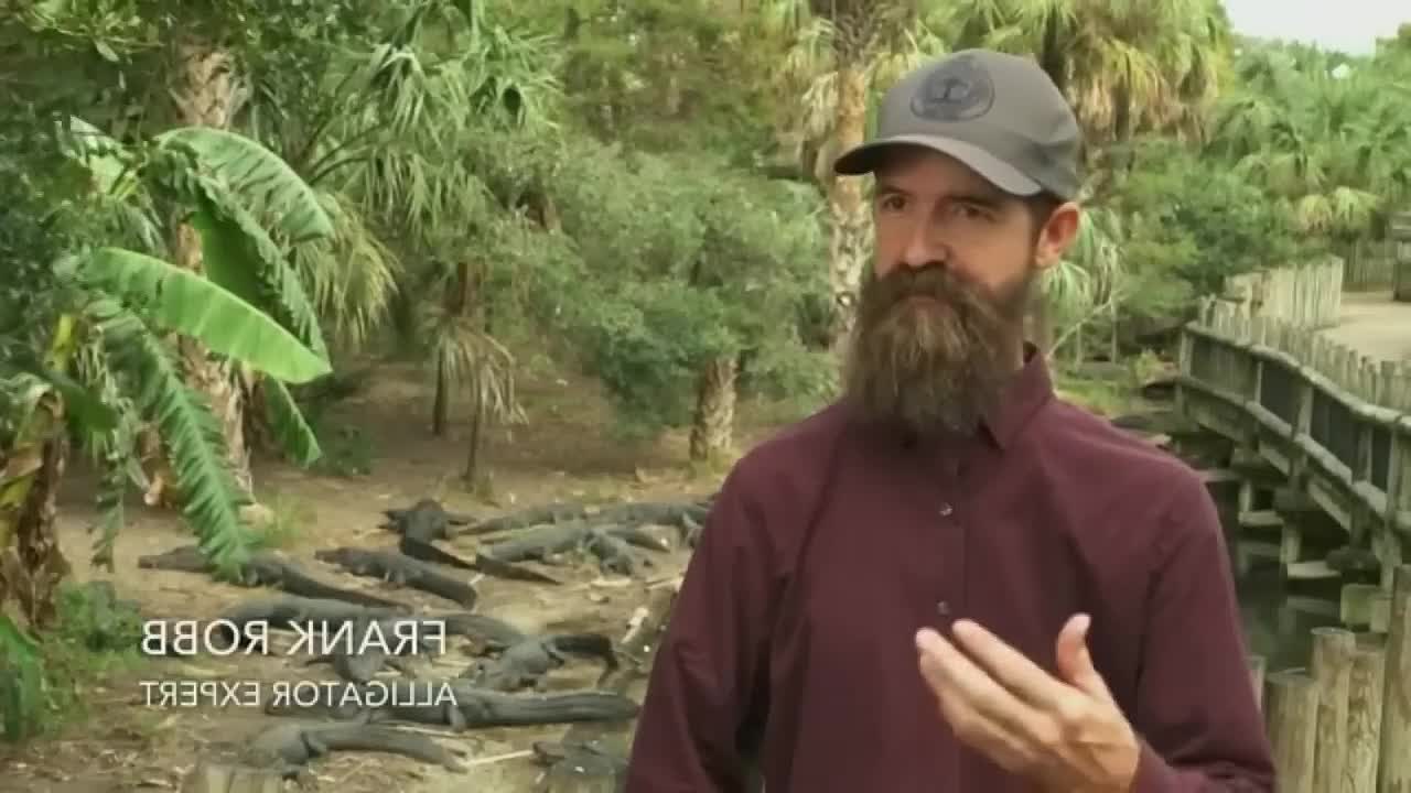 Made For Murder 2023 - Deadly Trust