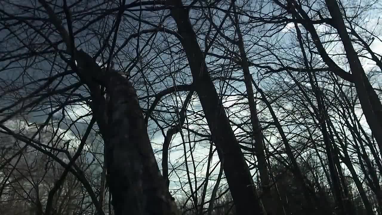 The Murder of Ardeth Woods