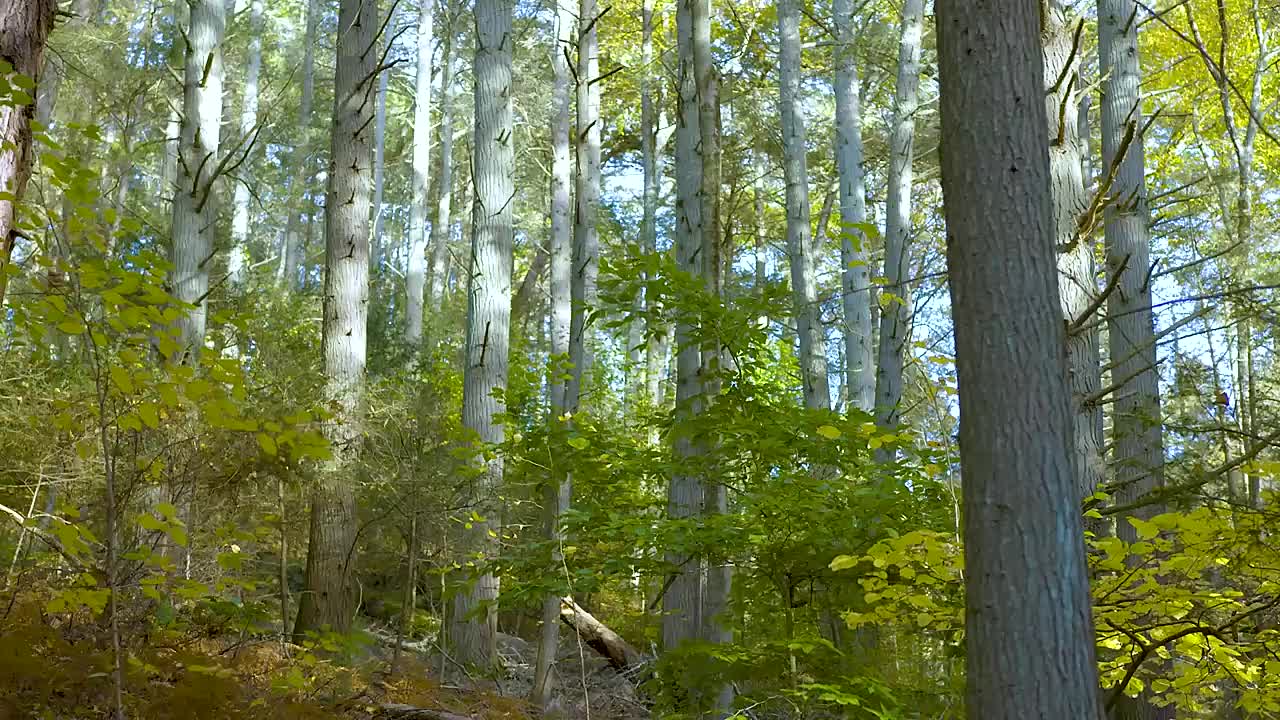 Tunnel (Award-Winning Short Film)