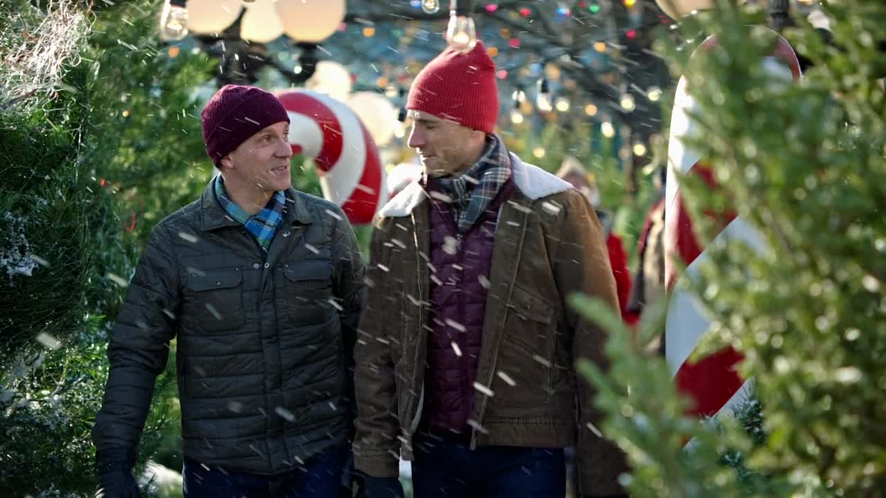 ⁣A Dream Of Christmas 2016 1080p WEBRip x264 AAC-