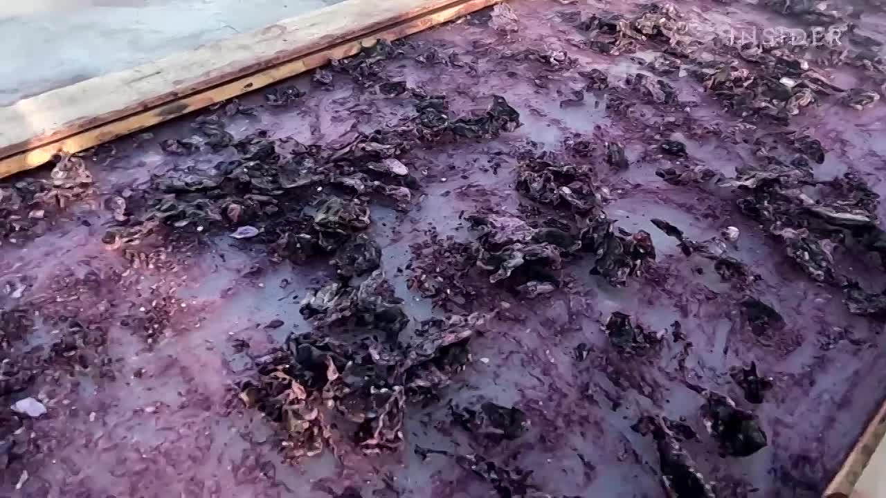 Why 11 Of The Worlds Priciest Items Are So Expensive?