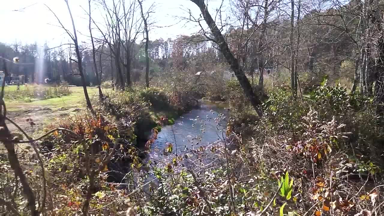 This tiny home community could be best yet! (North Carolina)