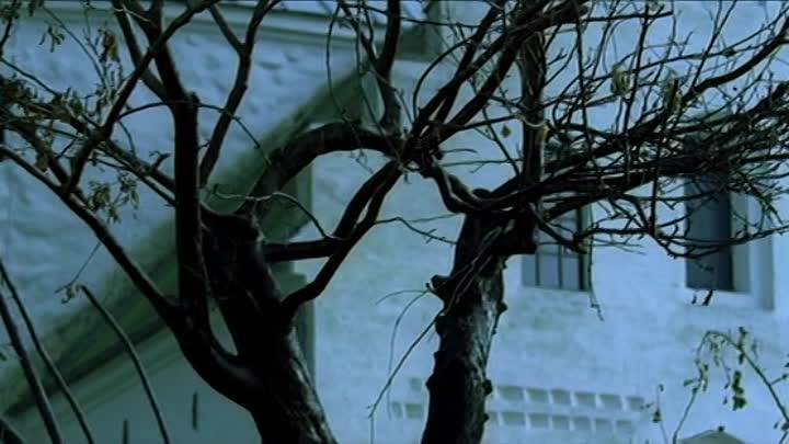 ⁣Adams Äpfel 2005 German AC3 DVDRip x264