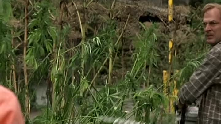 Agnes und seine Brueder 2004 German DVDRiP XviD-JAM