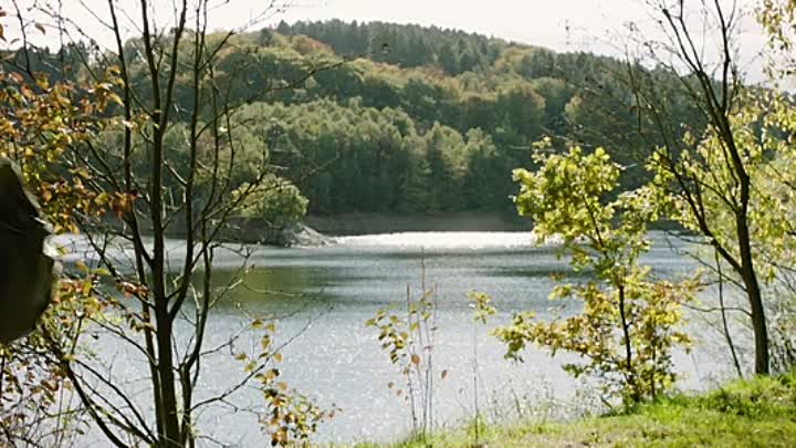 300 Worte Deutsch 2013 GERMAN BDRiP x264-WOMBAT