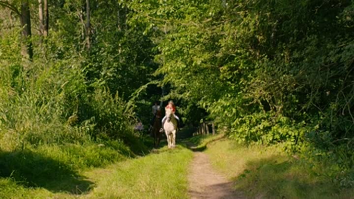 ⁣Bibi und Tina Einfach Anders GERMAN 2022 AC3 BDRip x264-UNiVERSUM