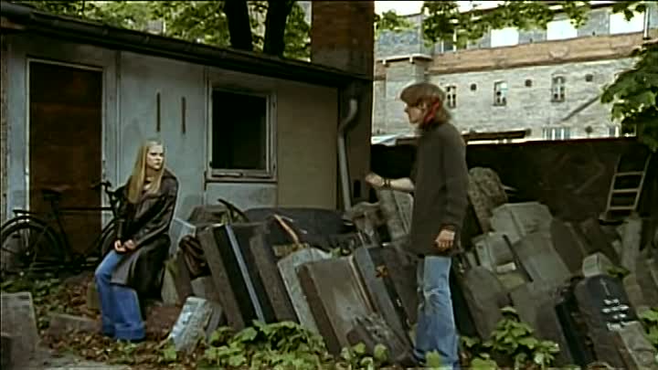 ⁣Changing Skins - Raus aus der Haut 1997 German DVDRip XviD