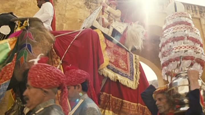 Das wilde Leben 2007 German DVDRIP XviD AC3-GM4F