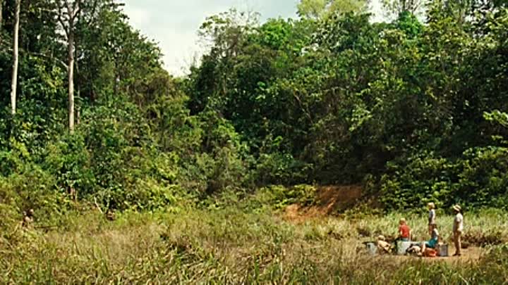 Dschungelkind 2011 German AC3 BDRip XviD-RSG